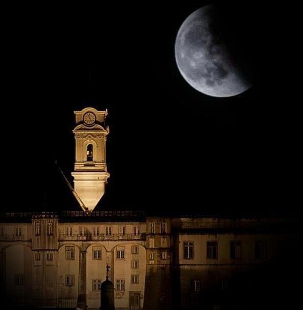 Essencyahomecoimbra Luaran gambar