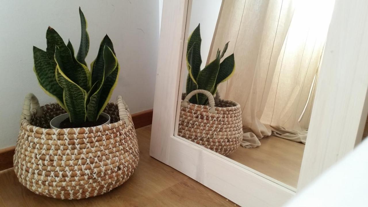 Essencyahomecoimbra Luaran gambar