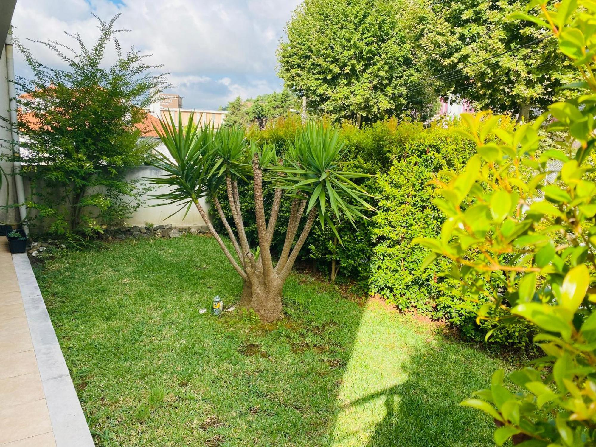 Essencyahomecoimbra Luaran gambar